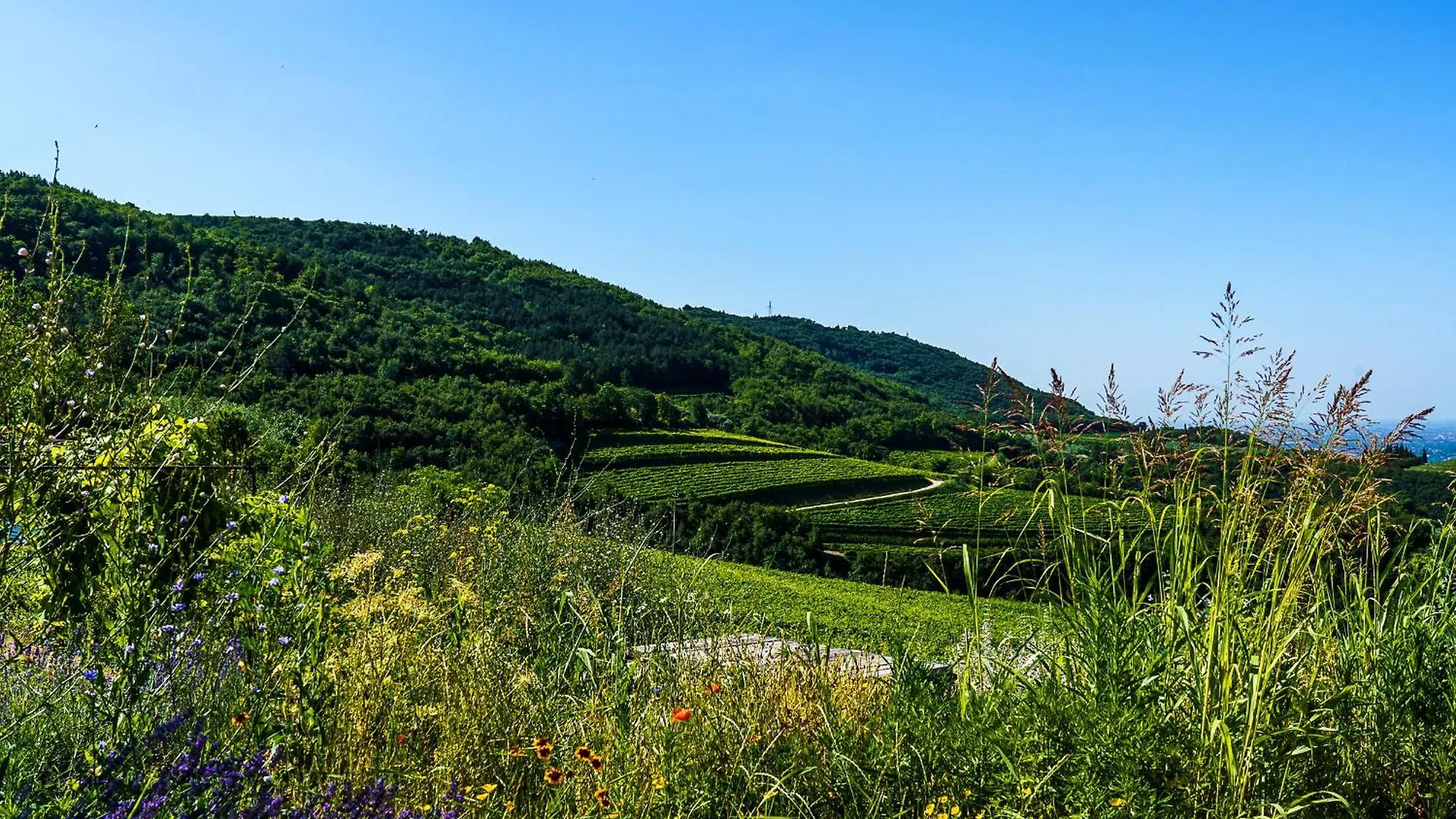 Villa Balis Crema Verona Hills (Adults Only) Grezzana 0*,
